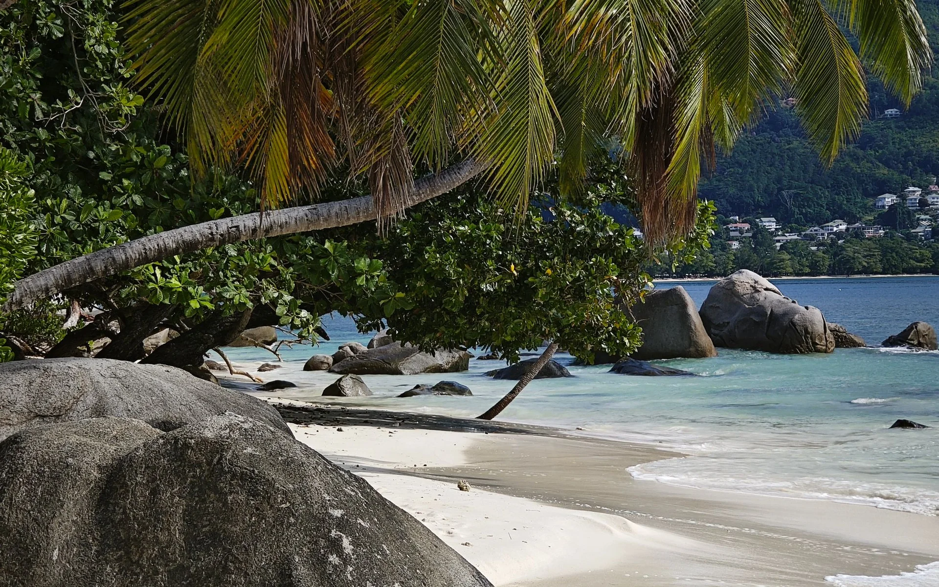 Palmy a skály na pláži Beau Vallon