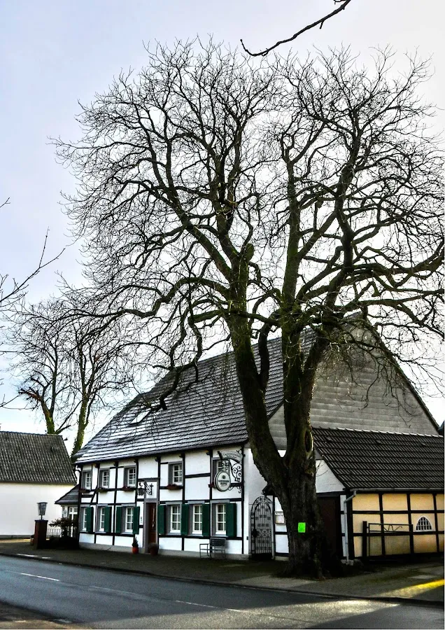BookNoFees: Restaurace – Gaststätte Ziegler – Lippetal – Restaurace Ziegler, foto 1