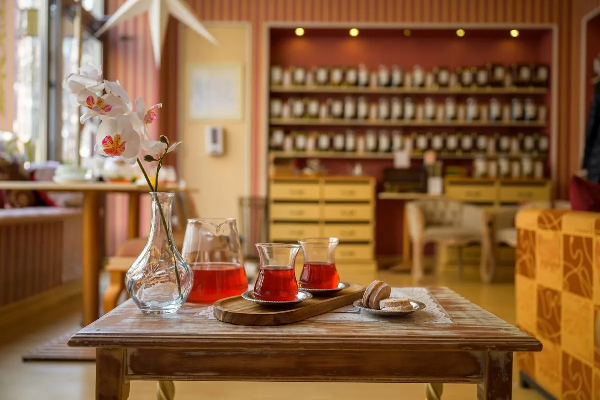 BookNoFees: Kavárna – Small Tree - Salon de Thé – Belgrade – Small Tree – čajovna, foto 1