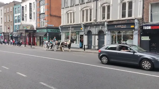 BookNoFees: Restaurace – Shawarma – Dublin – Shawarma, foto 3