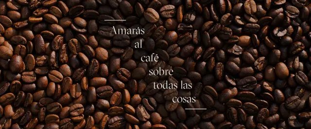 BookNoFees: Kavárna – Religion - Specialty coffee – Madrid – Náboženství – Speciální káva, foto 3