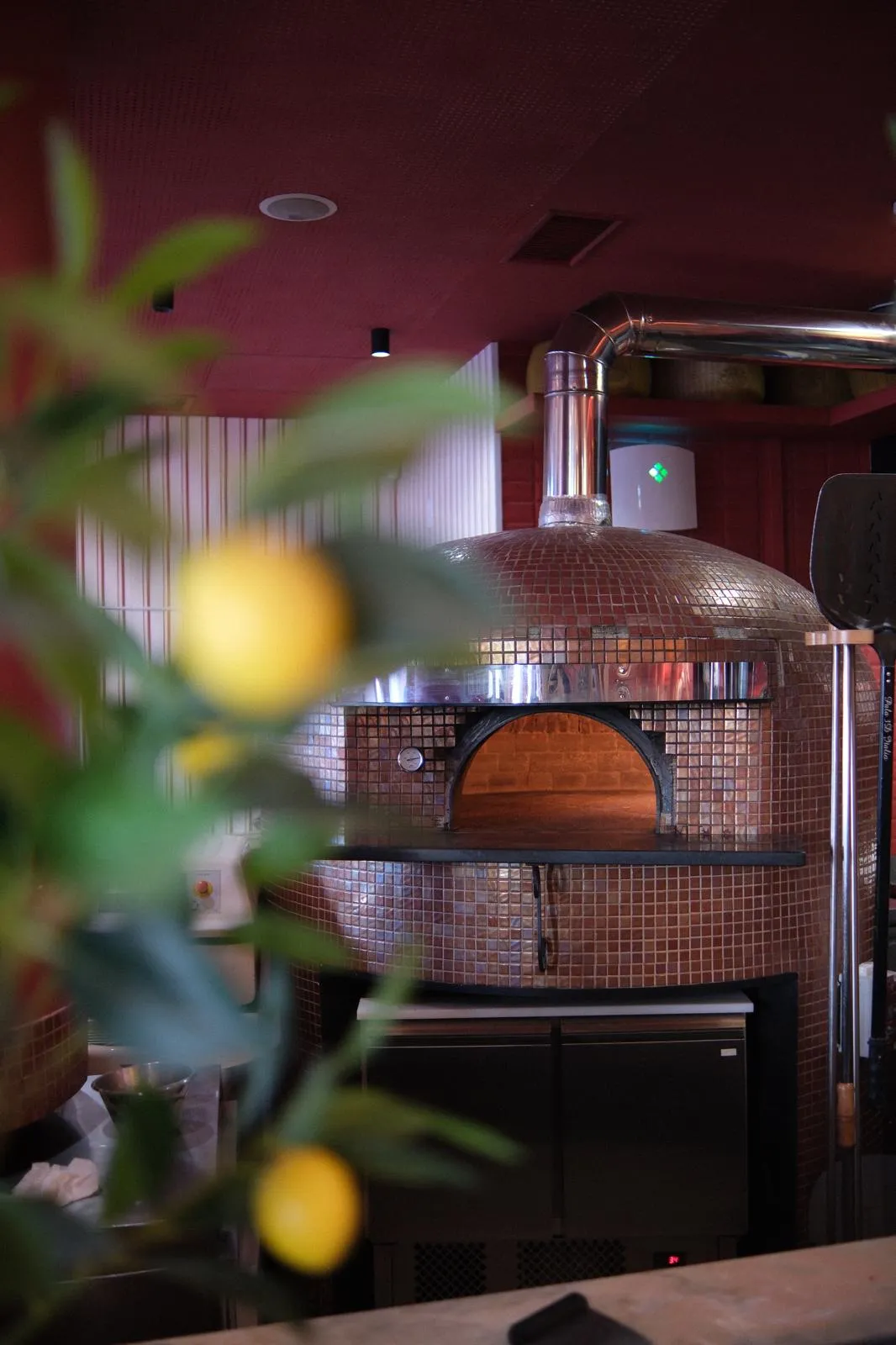 BookNoFees: Restaurace – Ristorante Donatella Italiano – Lisbon – Italská restaurace Donatella, foto 1