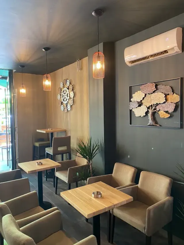 BookNoFees: Brown bar, Zagreb