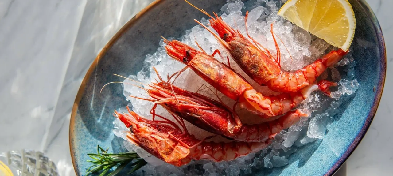 BookNoFees: Restaurace – Cucina Mia – Warsaw – Moje kuchyně, foto 1