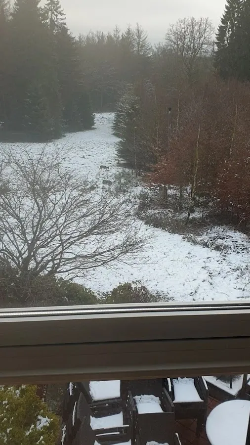 BookNoFees: Restaurace – Landhaus Berghof Restaurant und Café – Wenden – Restaurace a kavárna Landhaus Berghof, foto 3