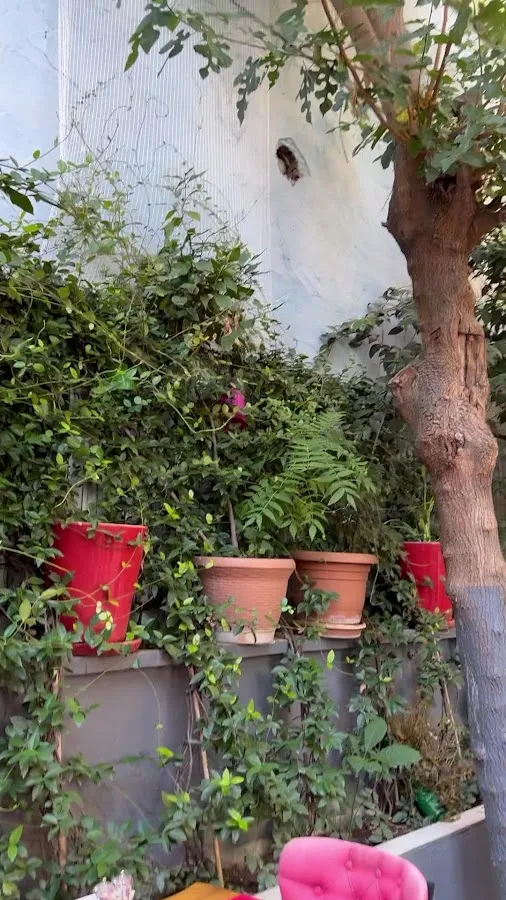 BookNoFees: Restaurace – Hidden Garden Sultanat – Istanbul – Sultanát Skrytá zahrada, foto 3
