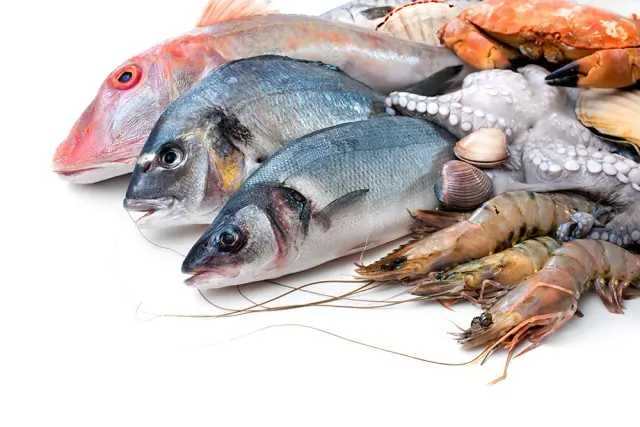 BookNoFees: Restaurace – Senhor Peixe – Lisbon – Pane Peixe, foto 2