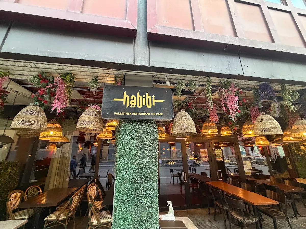 BookNoFees: Restaurace – Habibi Restaurant – Oslo – Restaurace Habibi, foto 1