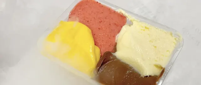 BookNoFees: Zmrzlina – Gelateria Fassi – Rome – Zmrzlinárna Fassi, foto 3